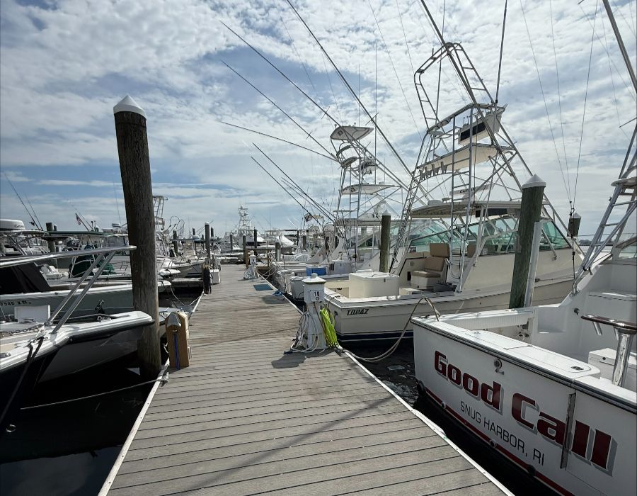 gooseberry marina docks-029