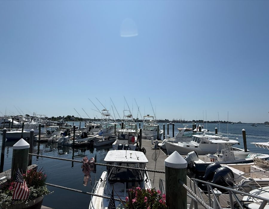gooseberry marina docks 036